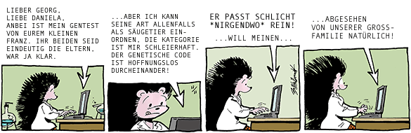 Cartoon, zwischen 40 und 90k